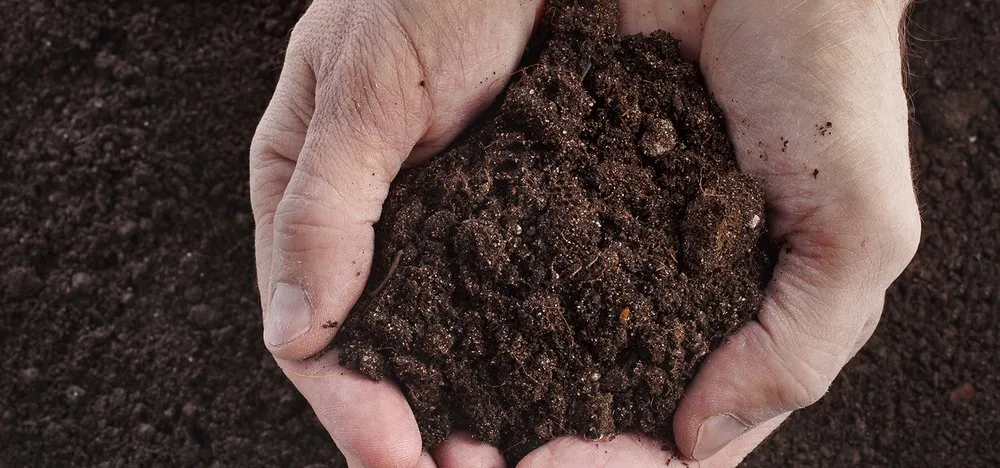 Reliable yard cleanup service experts serving Aston, PA - Magic Mulch Man