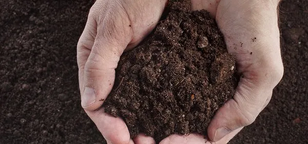 Magic Mulch Man Logo