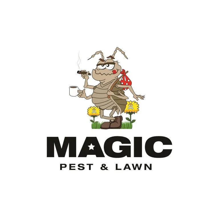 Top-rated residential landscaping for year-round maintenance across Austin, TX - Magic Pest and Lawn