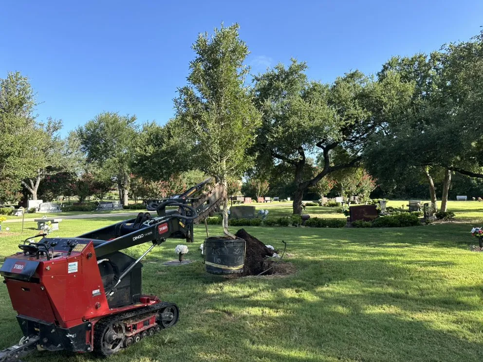 Custom landscape installation in Buda, TX by Magic Sprinkler Systems