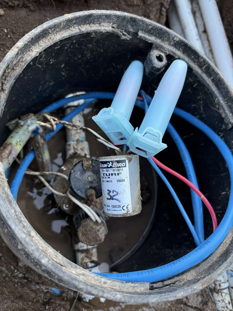 Expert lawn mowing service with custom design in Buda, TX by Magic Sprinkler Systems