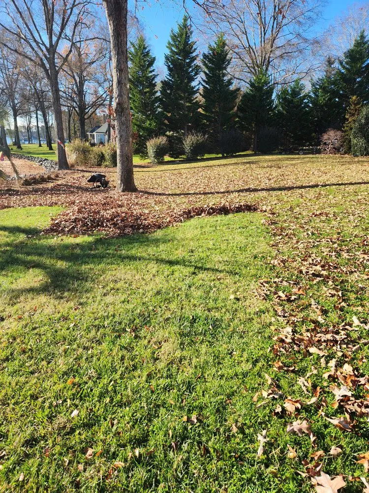 Expert residential landscaping in York, SC by Magic Touch For All