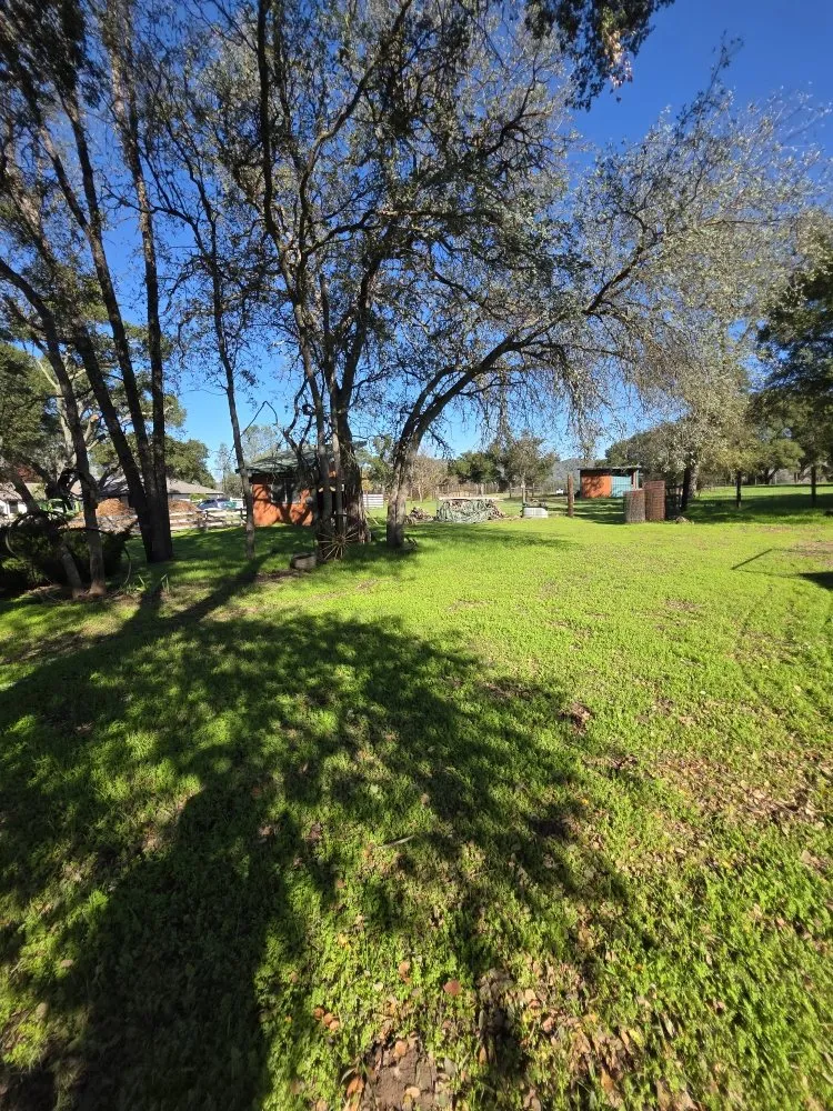 Local lawn mowing service experts serving Atascadero, CA - Magic Touch Landscaping