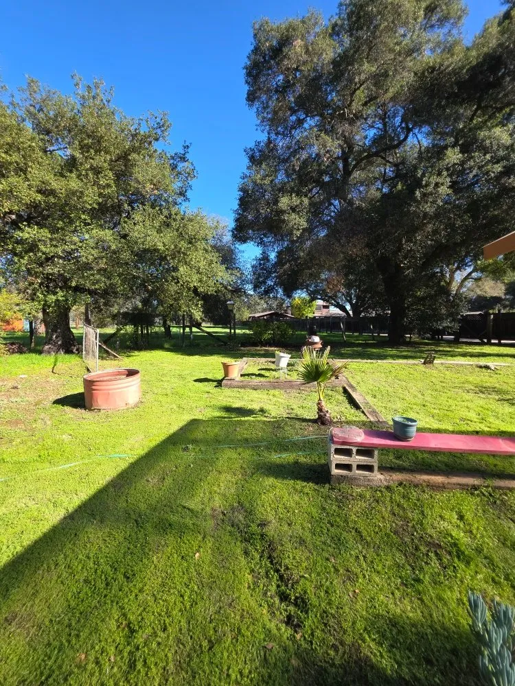 Trusted lawn mowing service experts serving Atascadero, CA - Magic Touch Landscaping