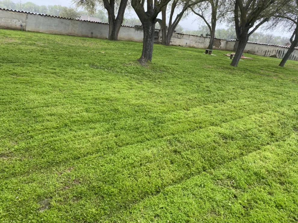 Reliable lawn mowing service in Atascadero, CA - Magic Touch Landscaping