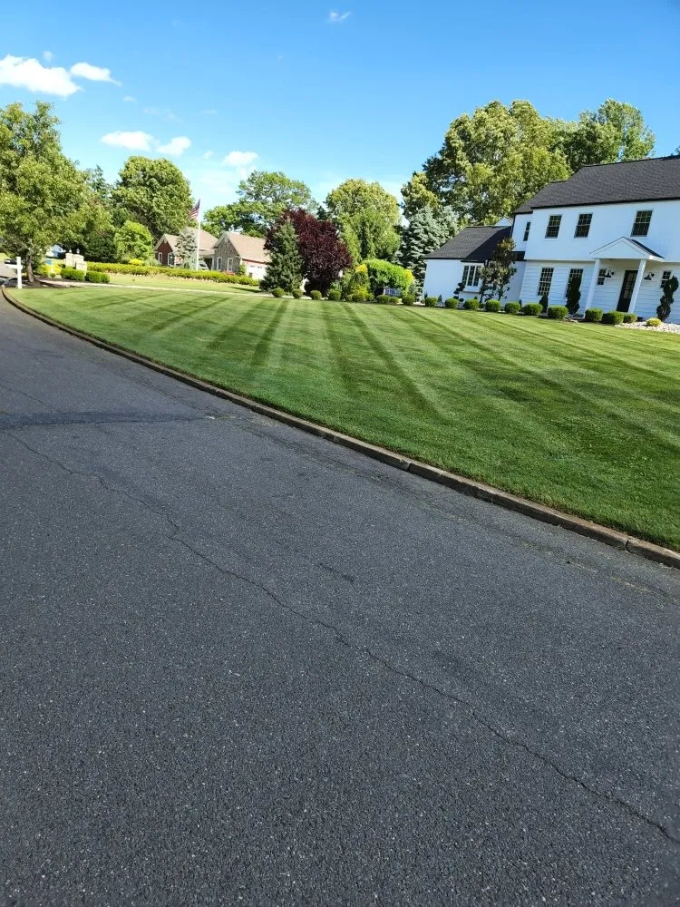 Affordable yard cleanup service in Old Bridge, NJ by Magic Touch Landscaping