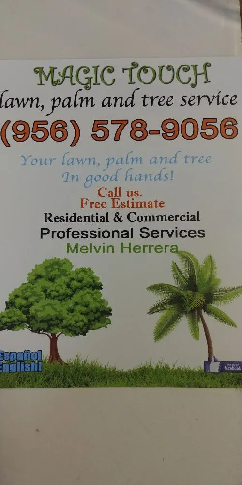 Professional yard cleanup service with custom design across McAllen, TX - Magic Touch Lawn Palms And Trees Service