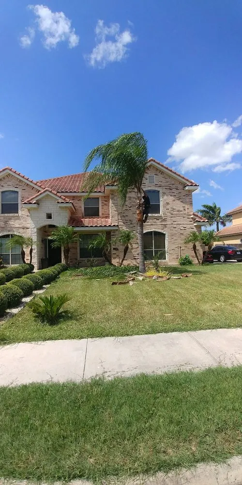 Custom lawn mowing service for beautiful yards in McAllen, TX by Magic Touch Lawn Palms And Trees Service