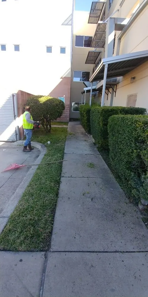 Local residential landscaping for residential properties across McAllen, TX - Magic Touch Lawn Palms And Trees Service