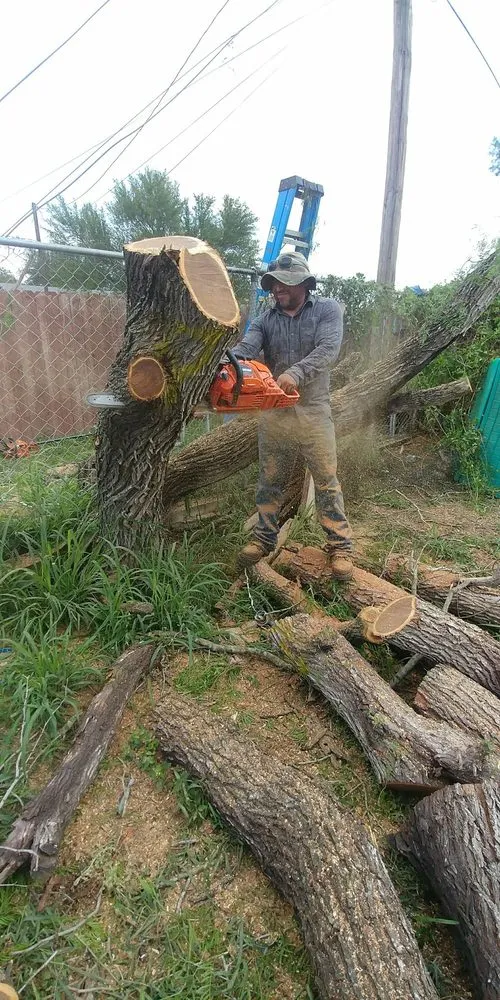 Trusted yard maintenance in McAllen, TX - Magic Touch Lawn Palms And Trees Service