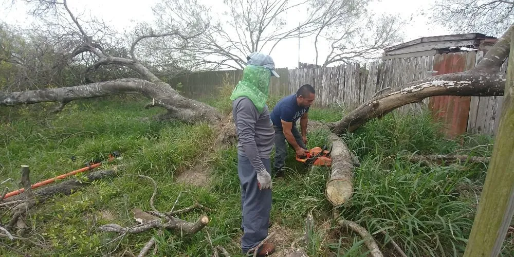 Trusted landscape design in McAllen, TX - Magic Touch Lawn Palms And Trees Service