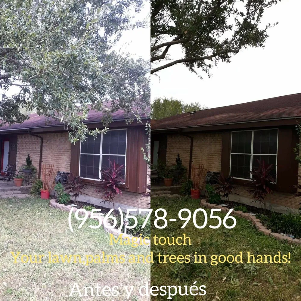 Trusted residential landscaping for homes across McAllen, TX - Magic Touch Lawn Palms And Trees Service