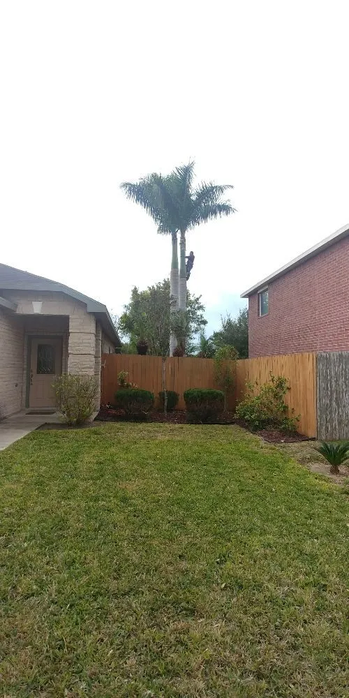 Professional lawn care service with custom design in McAllen, TX by Magic Touch Lawn Palms And Trees Service