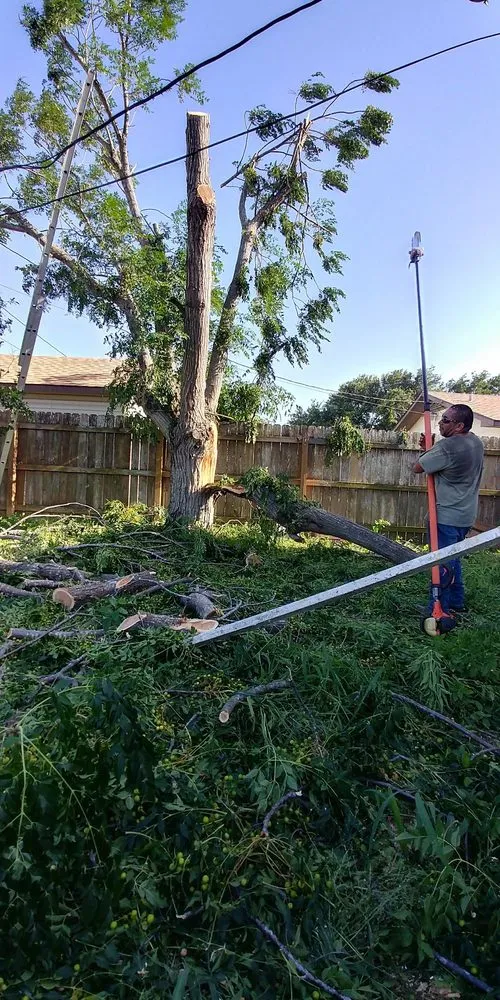 Reliable landscape installation with custom design across McAllen, TX - Magic Touch Lawn Palms And Trees Service