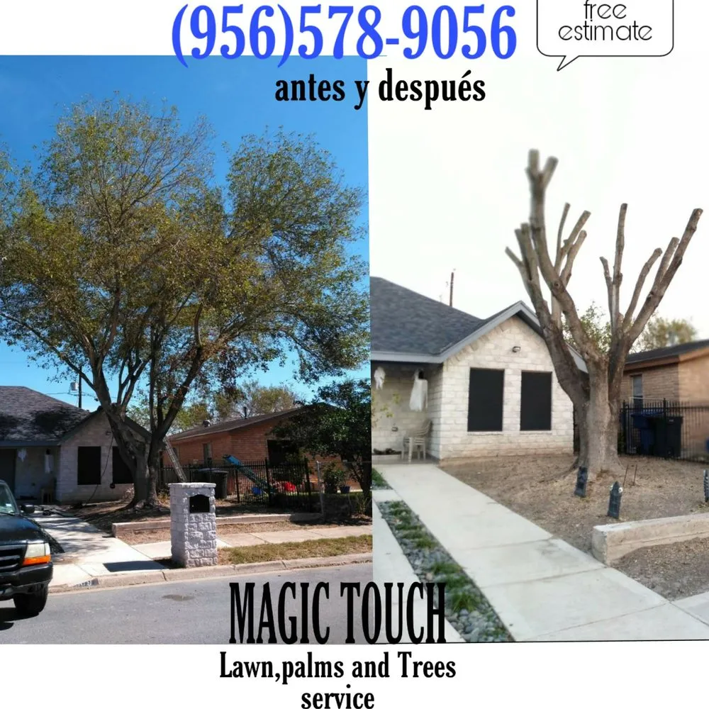 Professional lawn care service in McAllen, TX - Magic Touch Lawn Palms And Trees Service
