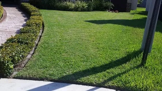 Affordable outdoor landscaping experts serving McAllen, TX - Magic Touch Lawn Palms And Trees Service