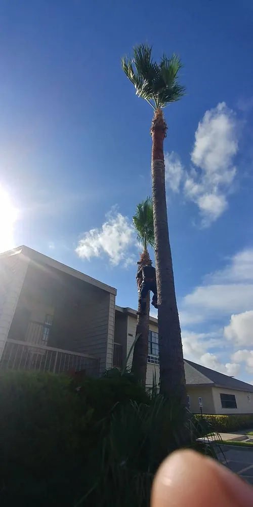 Local garden landscaping for beautiful yards across McAllen, TX - Magic Touch Lawn Palms And Trees Service