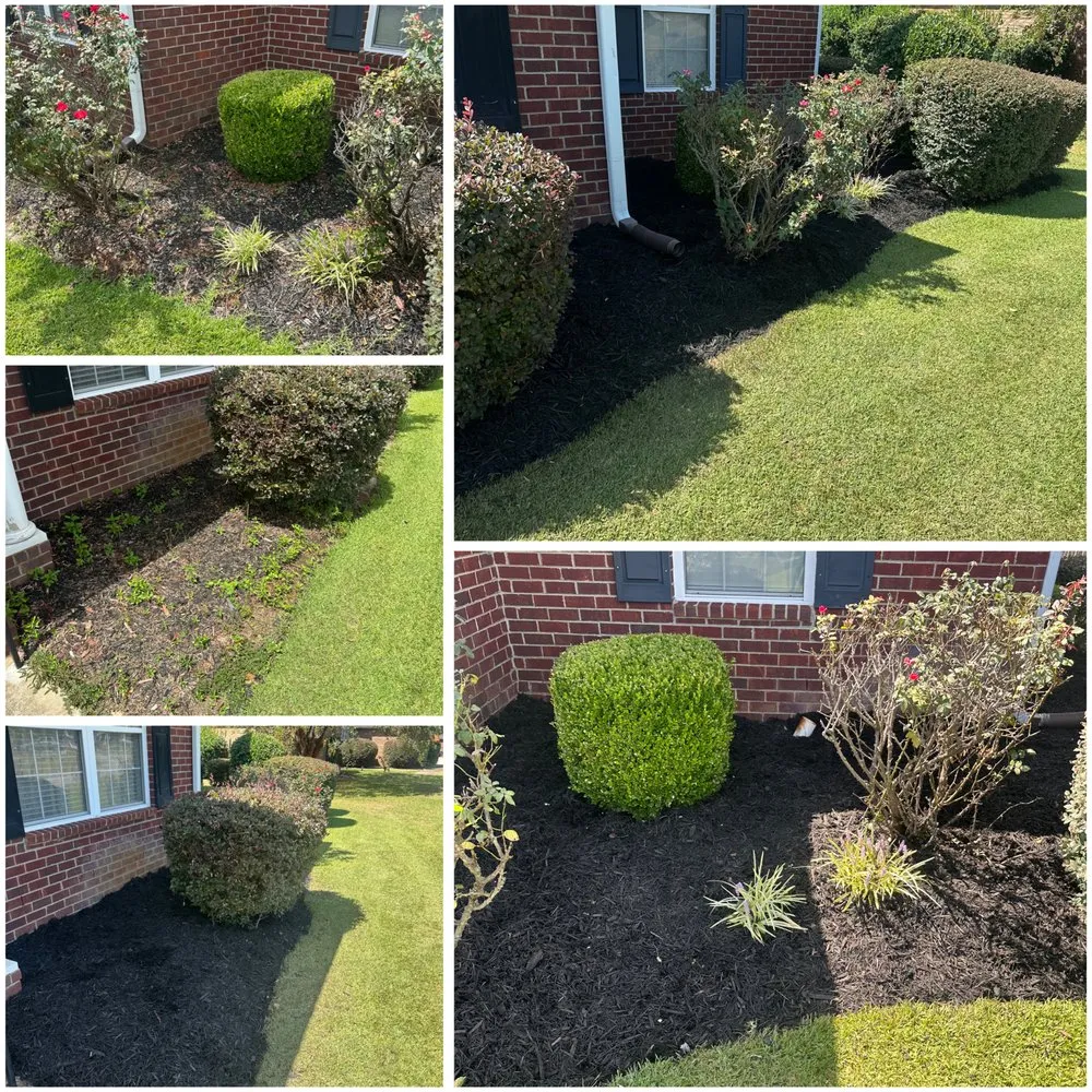 Reliable garden landscaping for outdoor upgrades across Sumter, SC - Magic Trim Landscaping & More