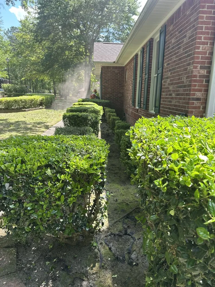 Top-rated residential landscaping experts serving Sumter, SC - Magic Trim Landscaping & More