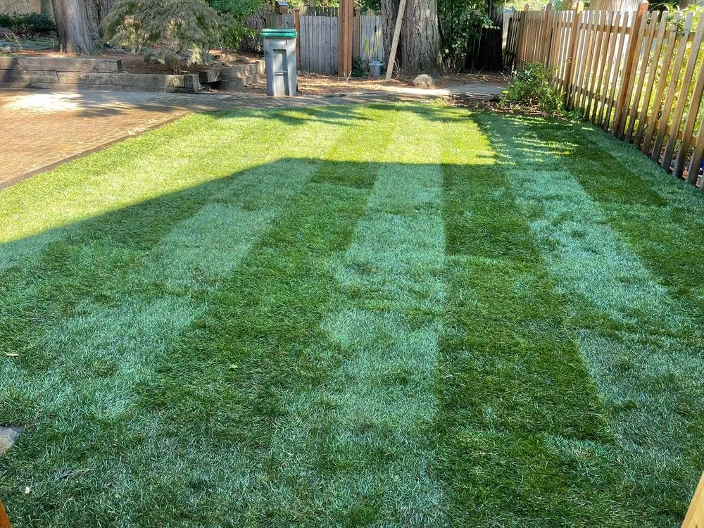 Affordable lawn care service experts serving Belfair, WA - Magical Forest General Contractor & Landscaping
