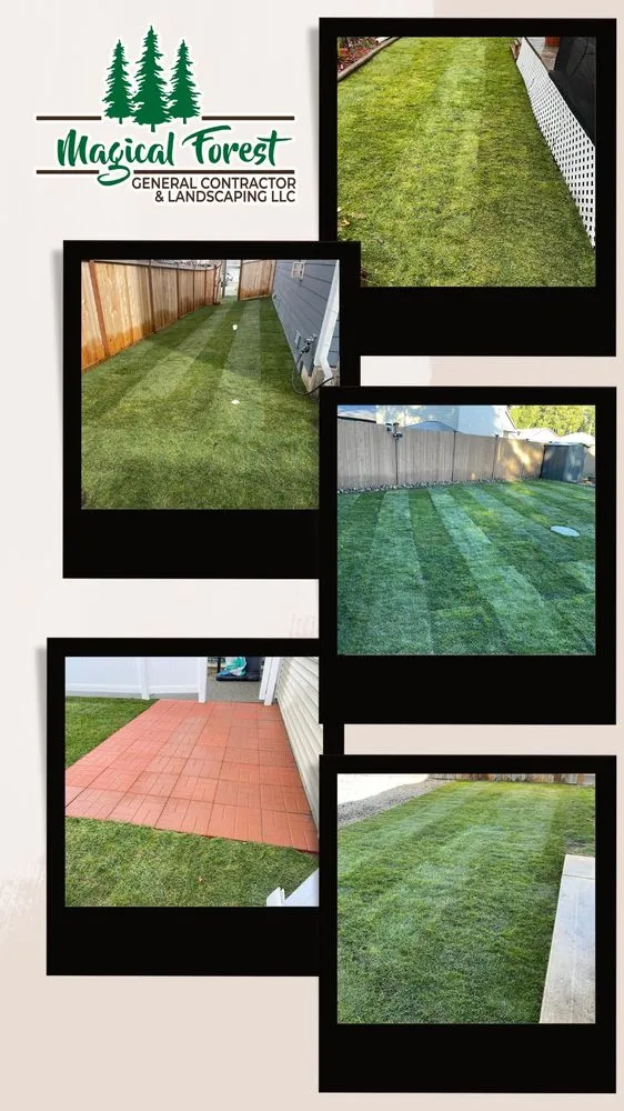 Top-rated residential landscaping in Belfair, WA - Magical Forest General Contractor & Landscaping