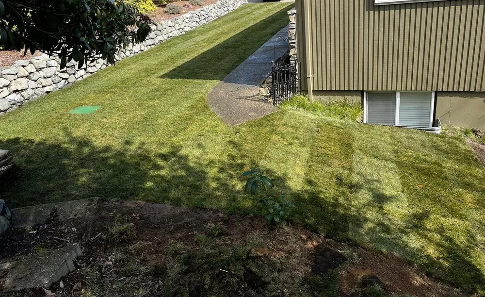 Professional yard cleanup service in Belfair, WA - Magical Forest General Contractor & Landscaping