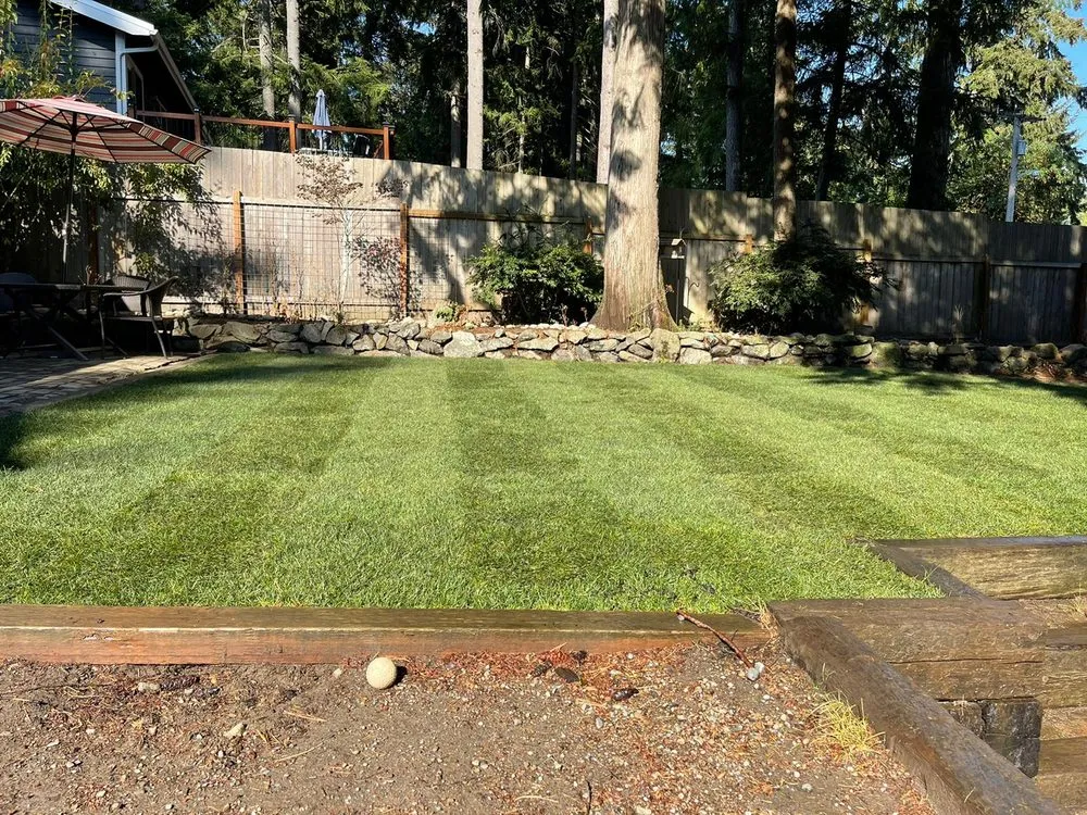 Local lawn care service for residential properties across Belfair, WA - Magical Forest General Contractor & Landscaping