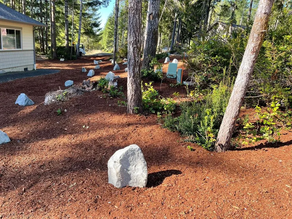 Top-rated landscaping services experts serving Belfair, WA - Magical Forest General Contractor & Landscaping