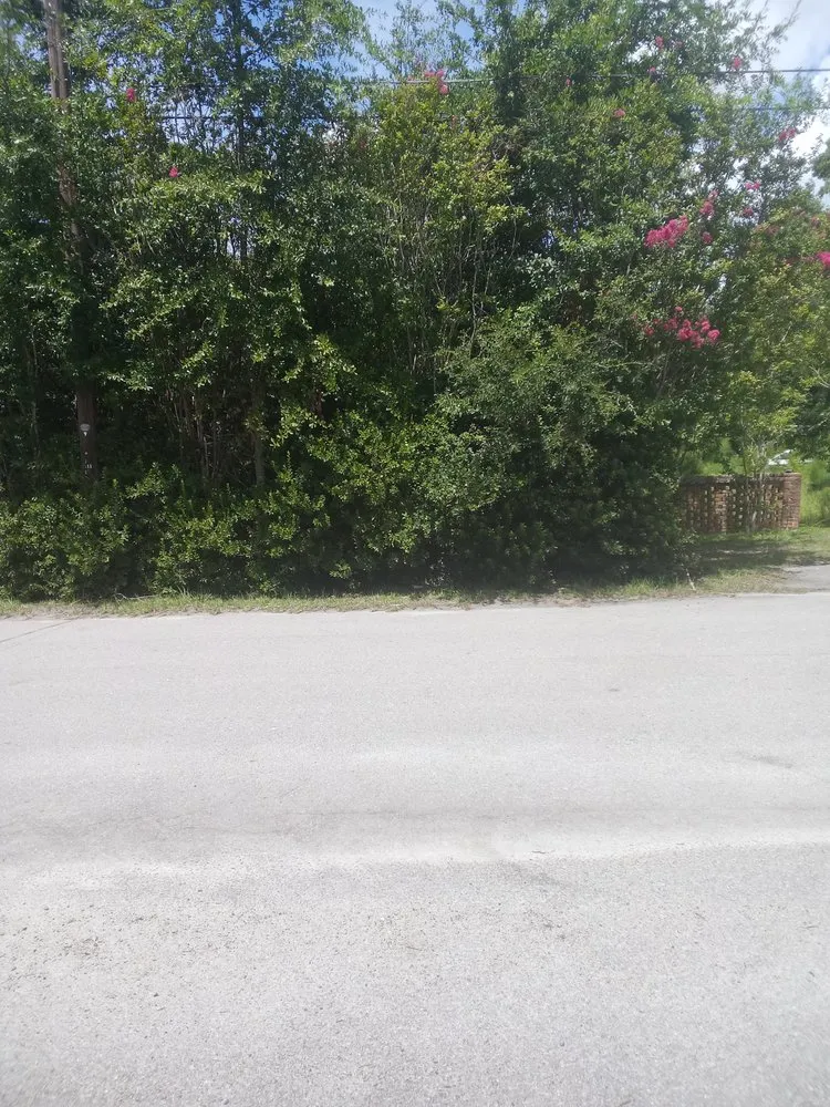 Reliable yard cleanup service in Hampton, SC - Magical Landscaping