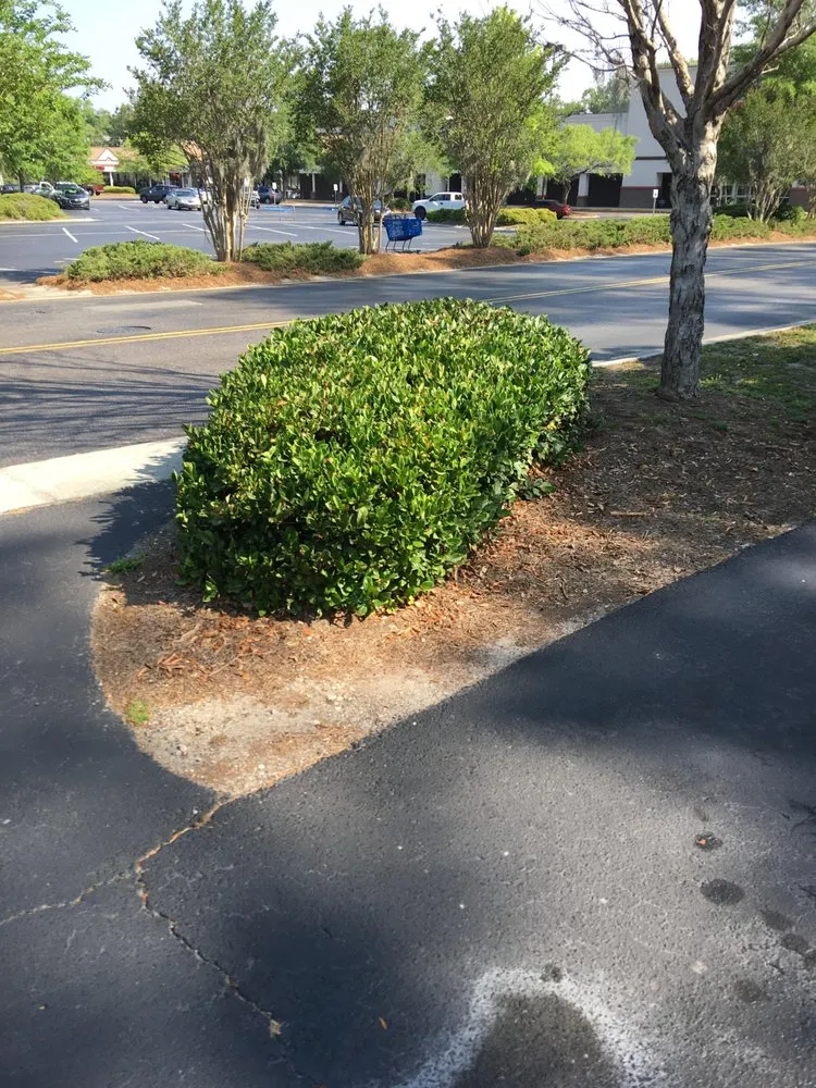 Professional landscape installation near you in Beaufort, SC by Magical Lawn Care Service