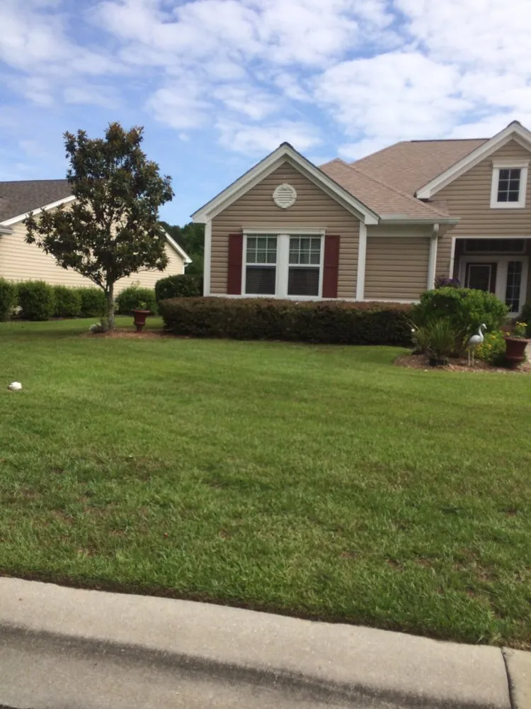 Trusted yard cleanup service experts serving Beaufort, SC - Magical Lawn Care Service