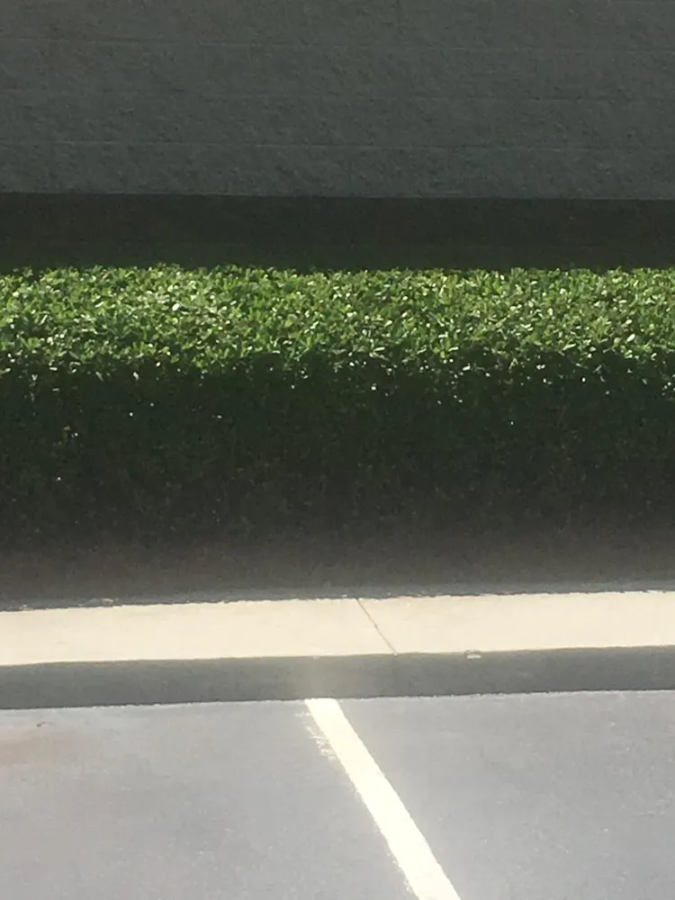 Trusted lawn care service in Beaufort, SC by Magical Lawn Care Service