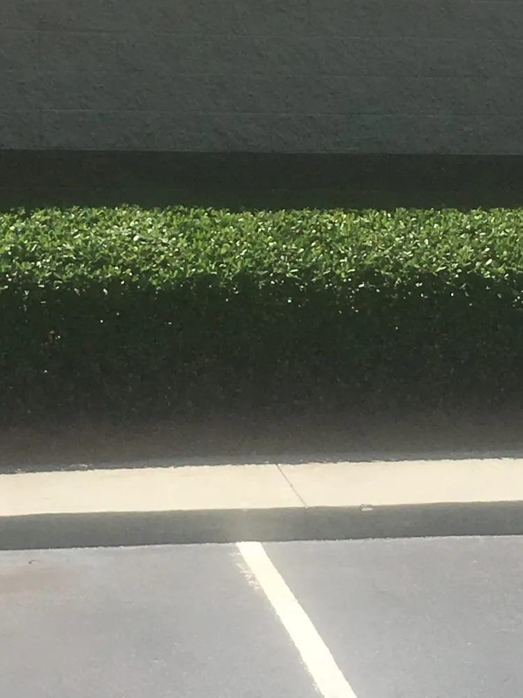 Affordable lawn care service in Beaufort, SC - Magical Lawn Care Service