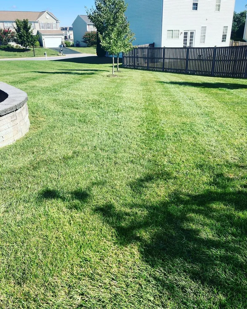 Trusted garden landscaping for beautiful yards in Frederick, MD by Magick Compass