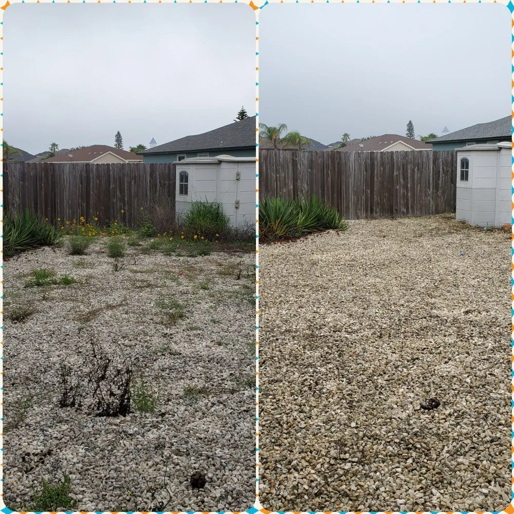 Top-rated landscaping services for residential properties in Corpus Christi, TX by Magic's Lawns & Landscape