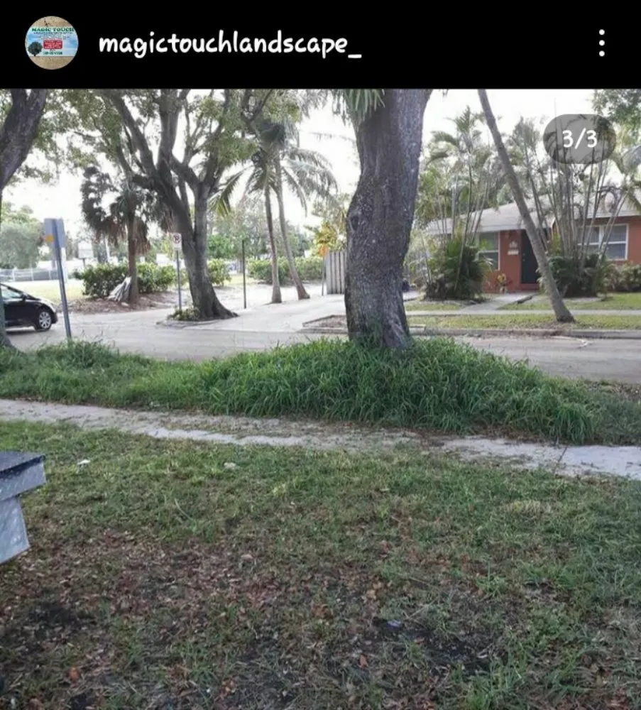 Local residential landscaping experts serving West Palm Beach, FL - Magictouch Landscape and Tree Removal Services