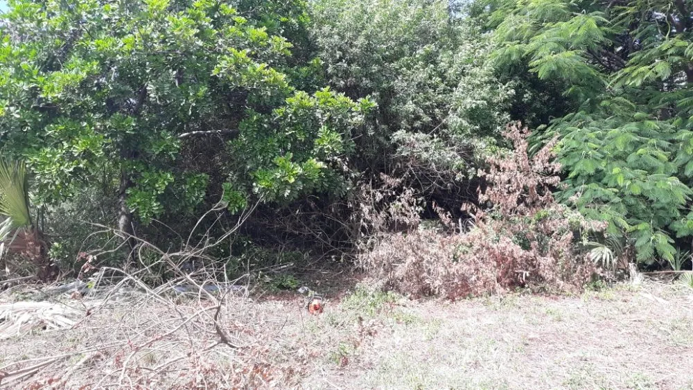 Expert outdoor landscaping with custom design across West Palm Beach, FL - Magictouch Landscape and Tree Removal Services