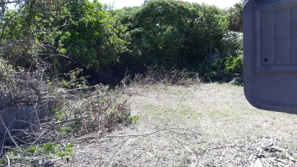 Trusted lawn care service in West Palm Beach, FL - Magictouch Landscape and Tree Removal Services