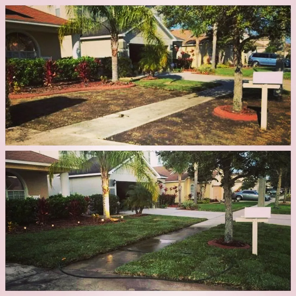 Trusted garden landscaping in Brandon, FL by Magna Carta Lawn Service