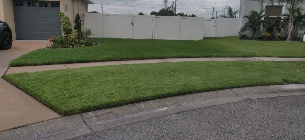 Trusted lawn care service with custom design across Brandon, FL - Magna Carta Lawn Service