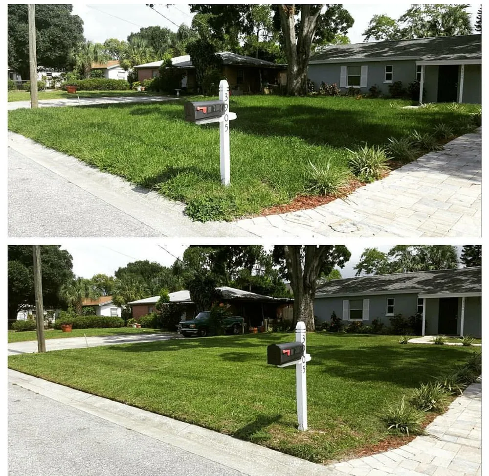 Affordable landscape design in Brandon, FL by Magna Carta Lawn Service