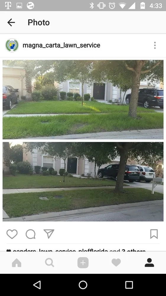 Affordable outdoor landscaping with custom design across Brandon, FL - Magna Carta Lawn Service