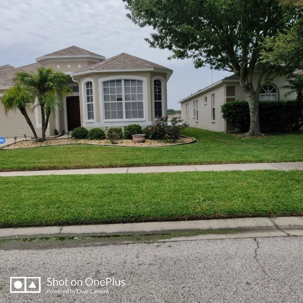 Expert outdoor landscaping for outdoor upgrades in Brandon, FL by Magna Carta Lawn Service