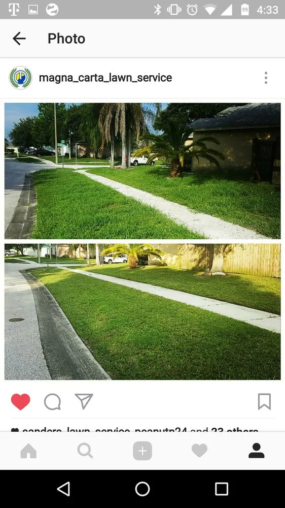 Expert yard cleanup service near you in Brandon, FL by Magna Carta Lawn Service