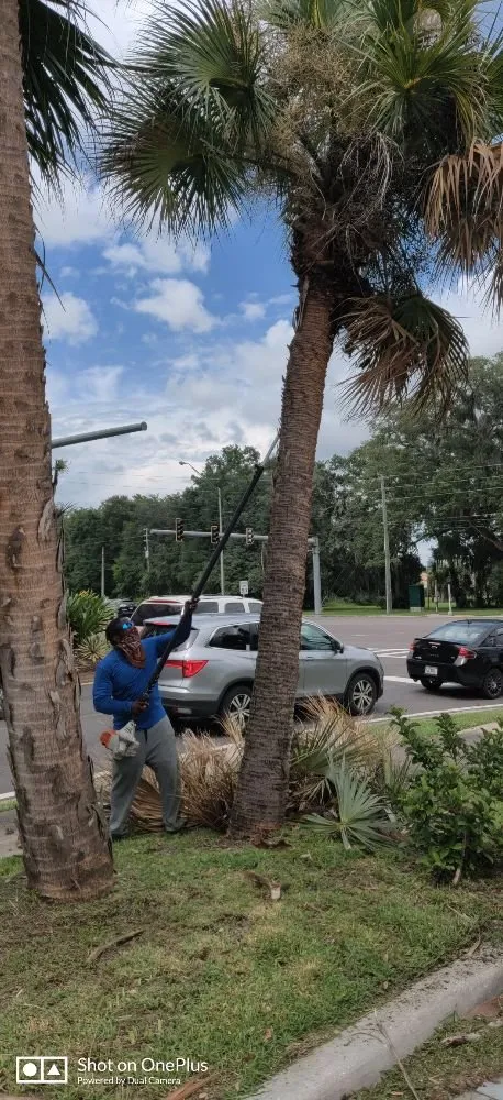 Custom outdoor landscaping for beautiful yards across Brandon, FL - Magna Carta Lawn Service