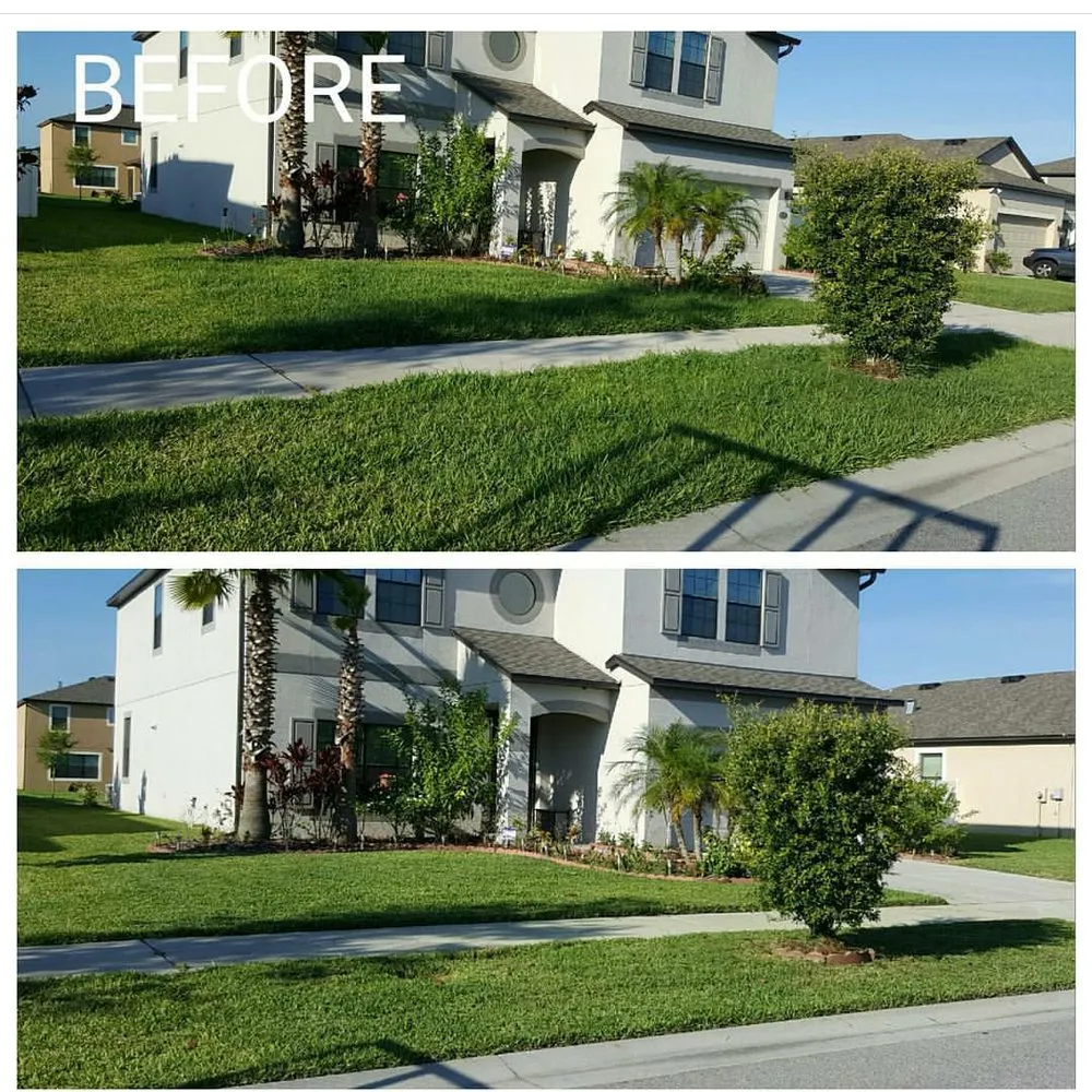 Local landscaping services in Brandon, FL - Magna Carta Lawn Service