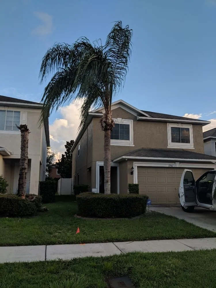 Affordable landscaping services for residential properties in Brandon, FL by Magna Carta Lawn Service