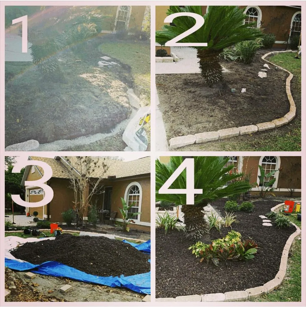Top-rated outdoor landscaping in Brandon, FL by Magna Carta Lawn Service