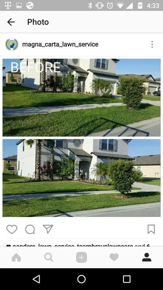 Custom yard maintenance experts serving Brandon, FL - Magna Carta Lawn Service