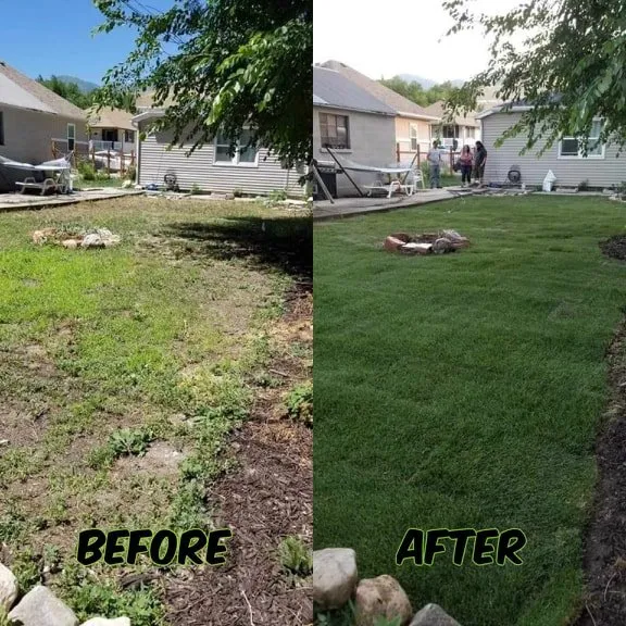 Top-rated yard cleanup service for homes in Magna, UT by Magna Lawn Care